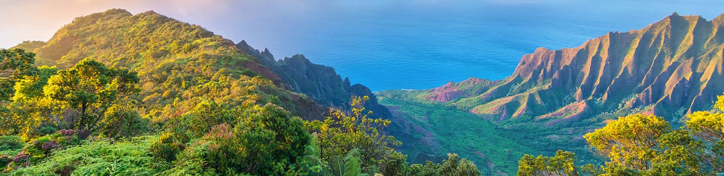 Hawaii Cruises